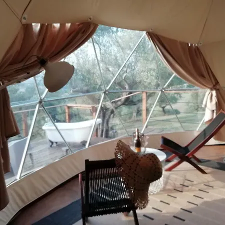 Camping Harvest Moon Geodome *