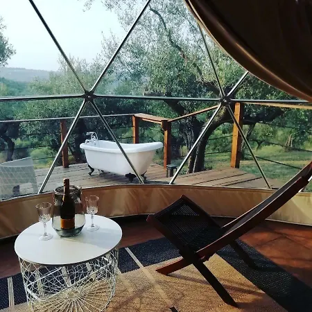 Camping Harvest Moon Geodome *