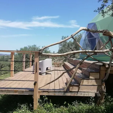Harvest Moon Geodome *